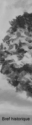Bref historique