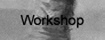 Learning to learn - Program - Workshop